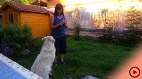 Training Camillo Wiener_Button.jpg