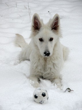 Fenja 2004-11-14d.jpg