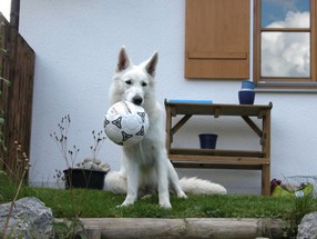 Fenja 2005-08-10d.jpg